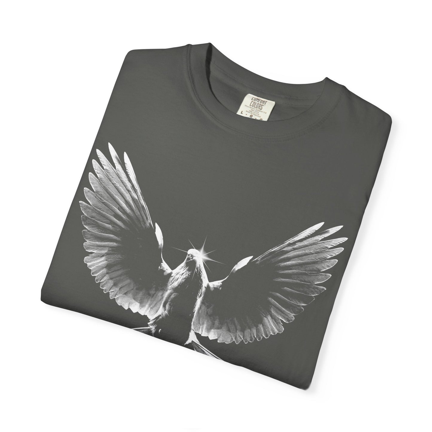 Spirit of Truth T-Shirt