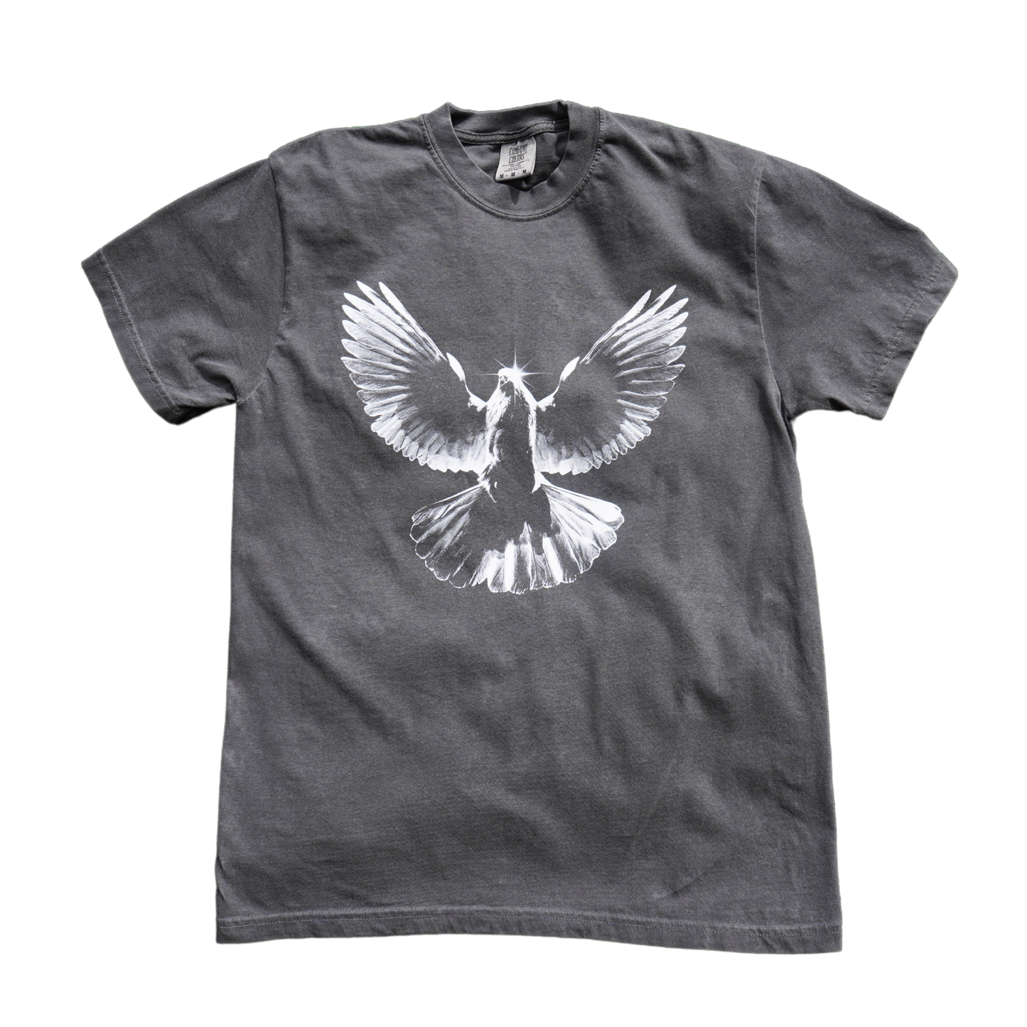 Spirit of Truth T-Shirt