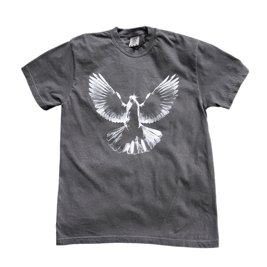 Spirit of Truth T-Shirt